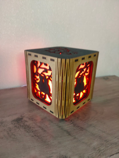 Lanterne chats Amoureux