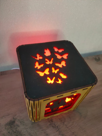 Lanterne chats Amoureux