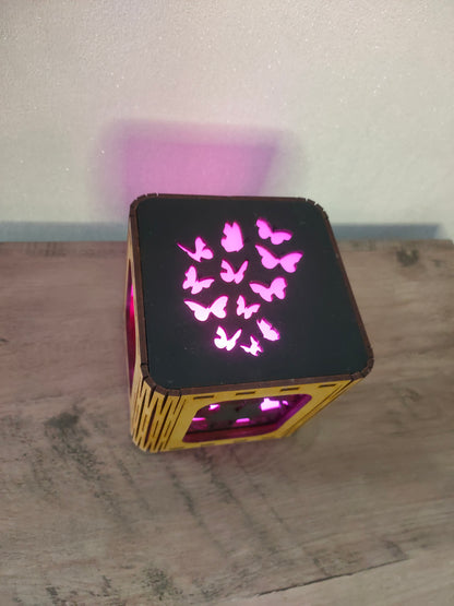 Lanterne chats Amoureux